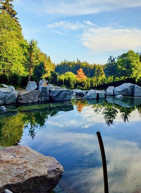 Natur-Teich Waldhotel mit Bio-Pool