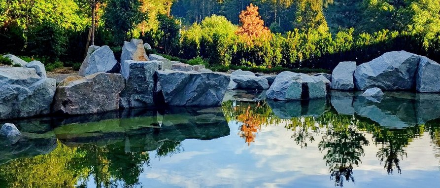 [Translate to français:] Natur-Teich Waldhotel mit Bio-Pool