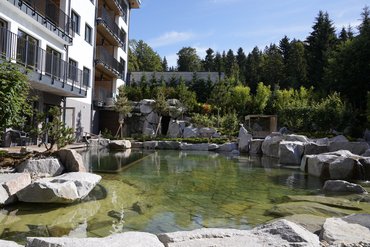 Naturteich Kneippbecken