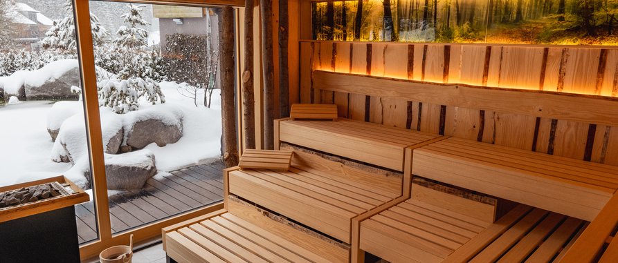 Waldpanorama Sauna im Berg Spa