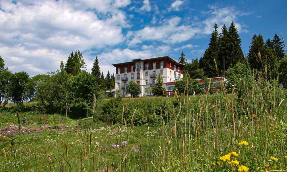 Wellnesshotel im Schwarzwald Waldhotel am Notschreipass im Sommer