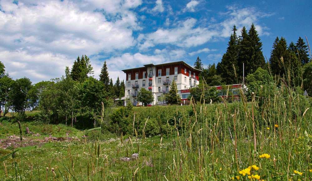 Wellnesshotel im Schwarzwald Waldhotel am Notschreipass im Sommer 